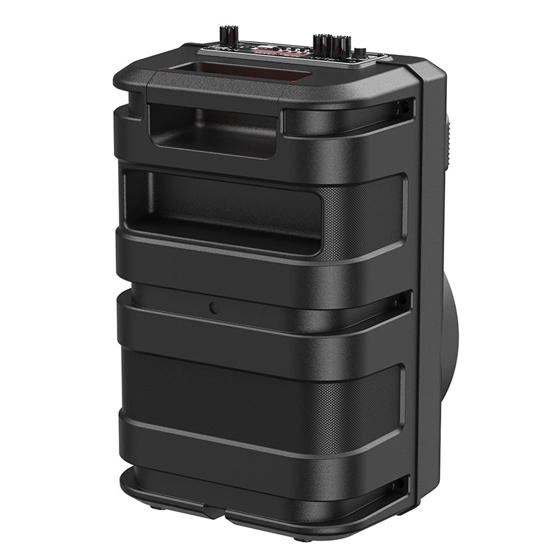 BS46 Mature Outdoor Bluetooth Speaker